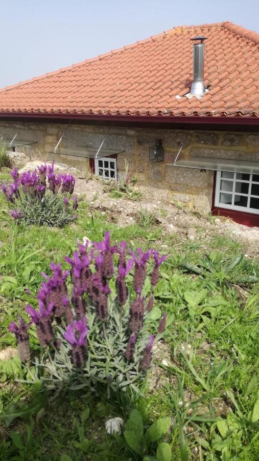 Paranhos  Casa Do Rancho - Turismo Rural מראה חיצוני תמונה